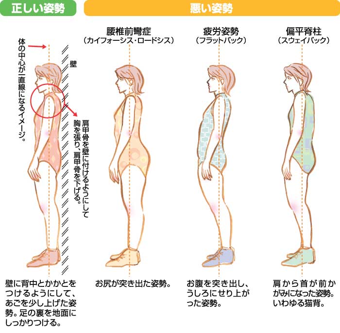 姿勢見本